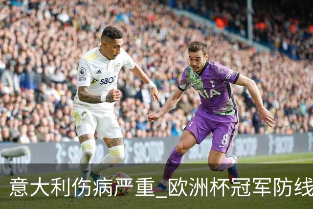 意大利伤病严重 欧洲杯冠军防线或全部无法上场
